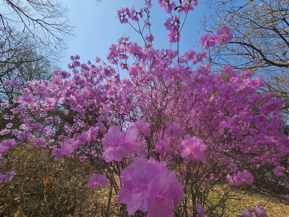 3일 금요일 수도권(인천, 경기 등) 지역은 대체로 맑다가 오후부터 구름이 많아지겠다. (사진=중앙신문 DB)