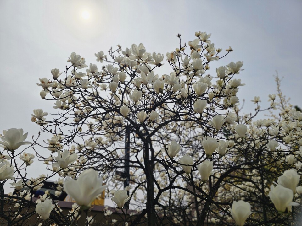6일 월요일 수도권(인천, 경기 등) 지역은 오전까지 가끔 비가 내리겠고, 흐리다가 낮부터 차차 맑아지겠다. (사진=중앙신문 DB)
