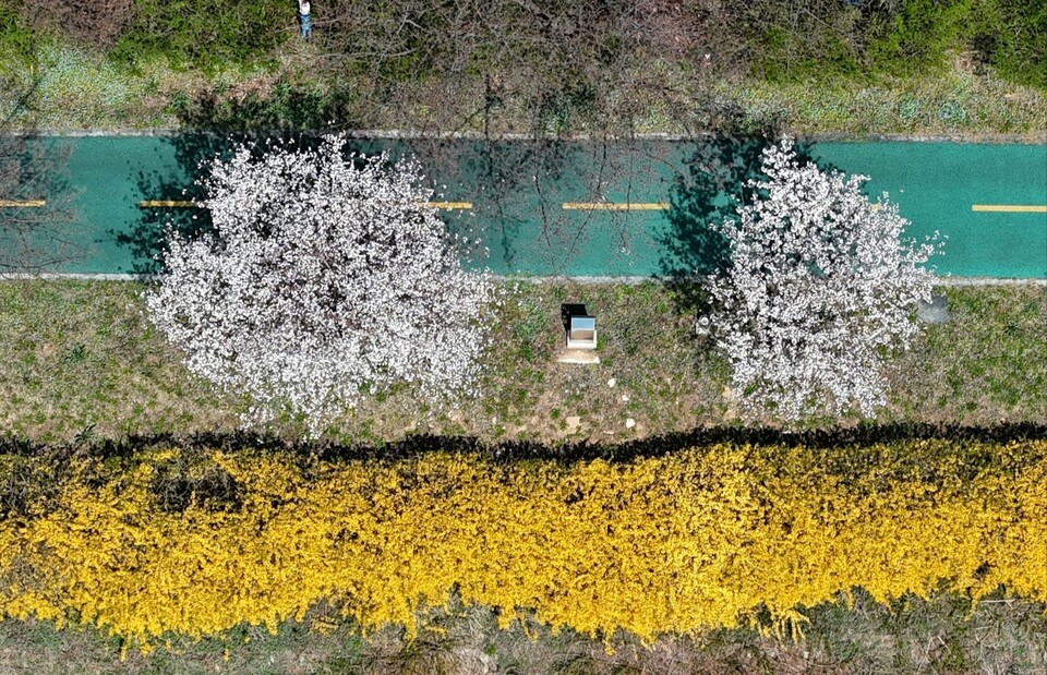 7일 화요일 수도권(인천, 경기 등) 지역은 아침 기온이 다소 낮아 쌀쌀하겠고, 낮과 밤의 기온차가 크게 벌어지겠다. (사진=중앙신문 DB)