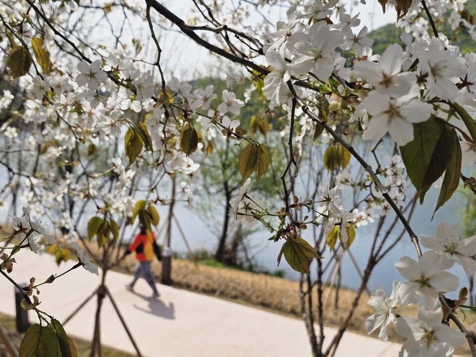 16일 목요일 수도권 지역은 대체로 맑은 가운데 낮 기온이 28℃ 안팎까지 오르겠다. (사진=중앙신문DB)