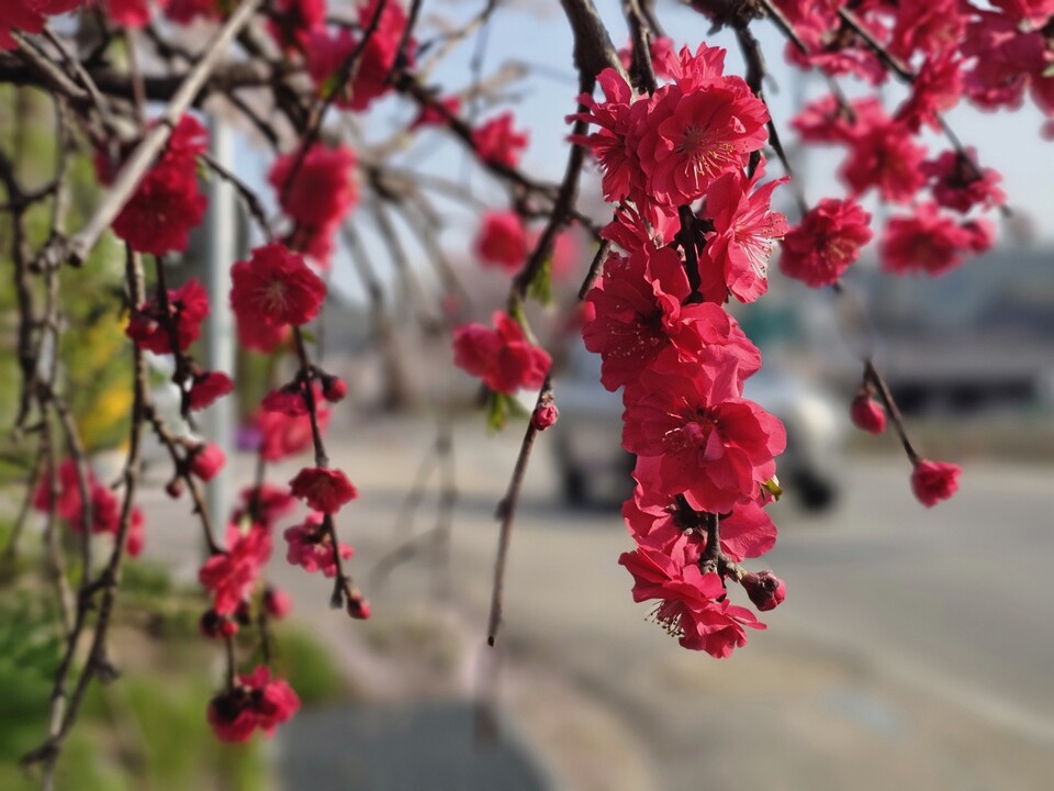 17일 금요일 수도권(인천, 경기 등) 지역은 대기가 건조한 가운데 대체로 흐린 날씨를 보이겠다. (사진=중앙신문 DB)