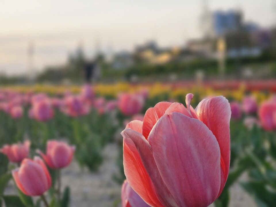 18일 토요일 수도권(인천, 경기 등) 지역은 대체로 맑은 가운데 아침저녁으로는 다소 쌀쌀하겠으나 낮에는 기온이 올라 포근하겠다. (사진=중앙신문 DB)