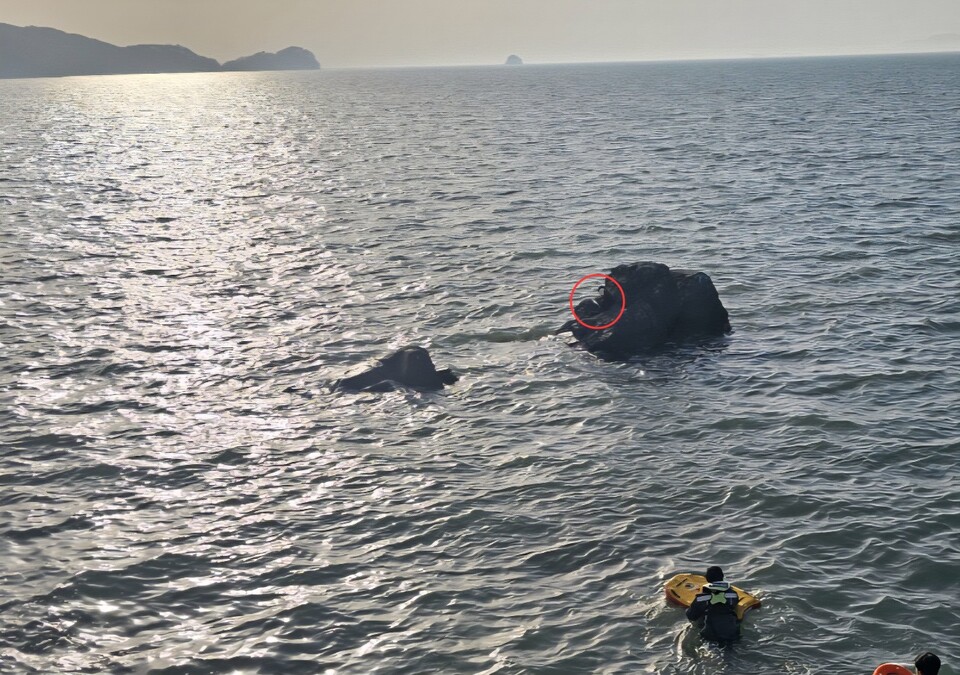 안산시 대부도 일대에서 갯바위 고립과 선착장 추락 사고가 잇따라 발생했지만, 해경이 모두 무사히 구조했다. (사진제공=평택해양경찰서)