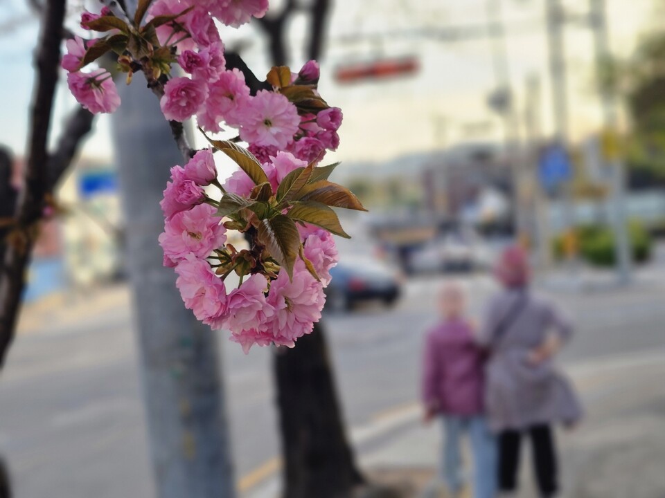 22일 수요일 수도권(인천, 경기 등) 지역은 흐리다가 오후부터 가끔 구름이 많겠다. (사진=중앙신문 DB)
