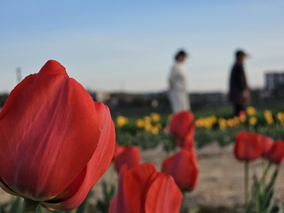 23일 목요일 수도권(인천, 경기 등) 지역은 구름이 많다가 늦은 오후부터 차차 맑아지겠다. (사진=중앙신문 DB)
