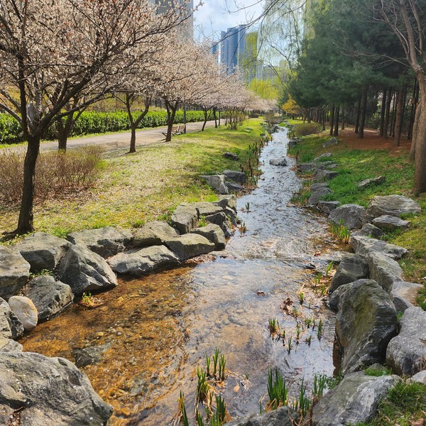 인천 영종국제도시 자연형 실개천에 동절기 중단됐던 유지용수 공급이 재개되며 수변 공간 운영이 정상화됐다. (사진제공=)