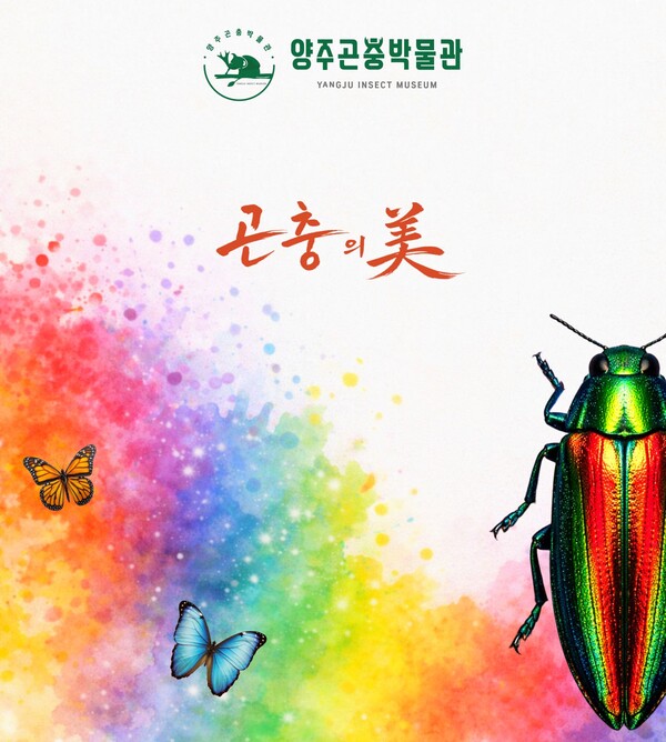 양주시가 곤충의 색과 생태를 주제로 한 체험형 전시를 통해 가족 단위 관람객 유치에 나선다. (사진제공=양주시)