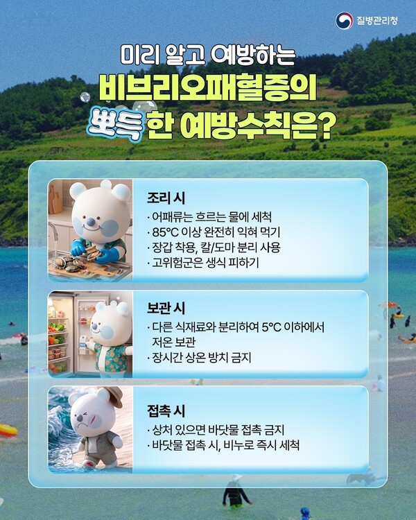 올해 첫 비브리오패혈증 환자가 발생해 사망으로 이어졌다. 사진은 질병관리청 예방수칙. (사진제공=질병청)