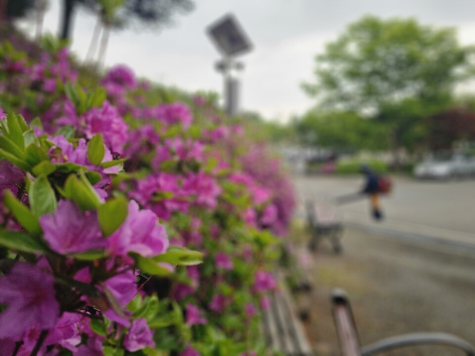 30일 목요일 서울을 포함한 수도권 지역은 대기가 매우 건조한 가운데 아침은 쌀쌀하고 낮은 따뜻해 일교차가 크게 벌어지겠다. (사진=송석원 기자)