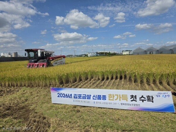 김포시 고촌읍 태리에서 농민이 올해 첫 ’한가득‘ 벼를 수확하고 있다. (사진제공=김포시청)