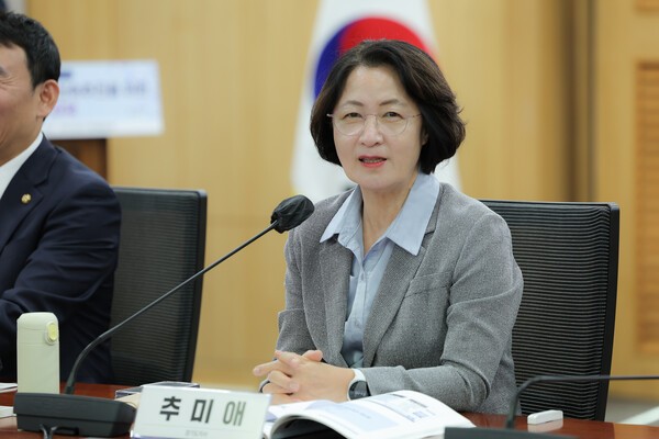 추미애 경기도지사가 28일 국회의원회관 제1세미나실에서 열린 '정부 8·13 대책 후속, 3기 신도시 자족강화와 신속 추진을 위한 국회 정책토론회'에 참석해 발언하고 있다. /사진제공=경기도