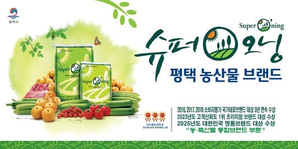 평택시 '슈퍼오닝' 홍보 이미지. /사진제공=평택시