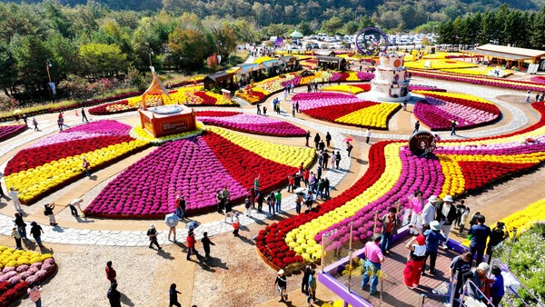 지난 11일 강원 인제군 북면 용대관광지 일원에서 열린 인제 가을꽃축제를 찾은 관광객들이 형형색색의 꽃이 만발한 꽃밭을 거닐며 가을 정취를 만끽하고 있다. @ 연합뉴스