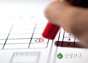 쪼개진 보수···내년 지방선거 요동