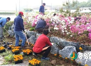 양평, 청결한 도시 만들기 나서