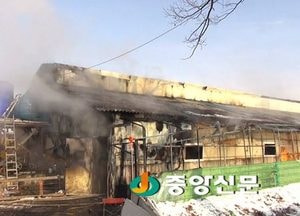 <이천>백사면 돈사 화재로 돼지370마리 폐사