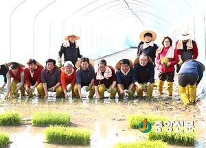 이천시 올해 전국 첫 모내기