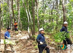 양평, 지역공동체 일자리사업 참여자 모집