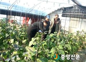 여주농기센터, 시설가지농가 토양 현장 컨설팅