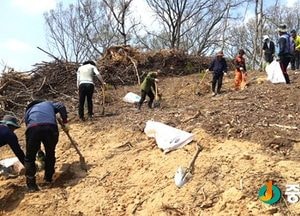 여주시, 2017년도 조림사업 본격 추진