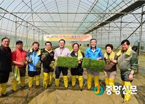 <여주>대왕님표 여주 쌀, 첫 모내기