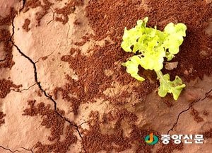 봄 가뭄 대비 농업용수 확보 본격 돌입, 158억여 원 투입