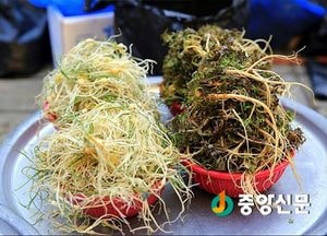 <여주포토>성큼 다가온 봄