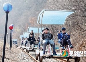 봄바람 타고 달리는 레일바이크