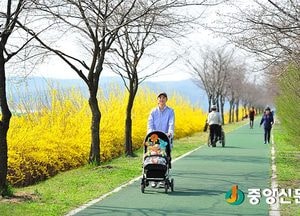 여주 걷고 싶은 거리, 노란 개나리 만개