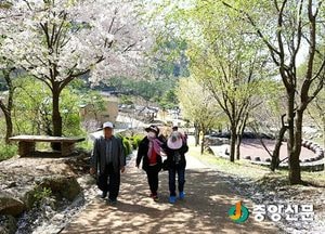<양평>숲은 보약이다! 산림 치유 프로그램 운영
