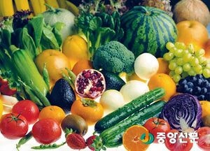 도, 17년 1분기 농식품 수출 12%↑, 2008년 이후 최고치