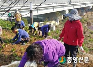 <양평>강상면 나루께 마을 ‘행복한 지역 만들기’