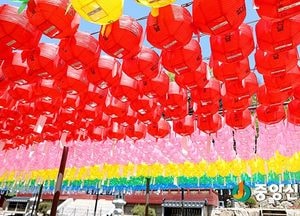 <양평 포토>부처님 오신날 앞둔 지난 28일, 용문사에 걸린 연등