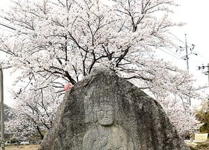 우리의 소중한 문화유산-이천 태평흥국명마애보살좌상