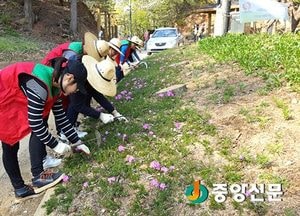 <광주>한양삼십리누리길 청소년 자원봉사단 운영