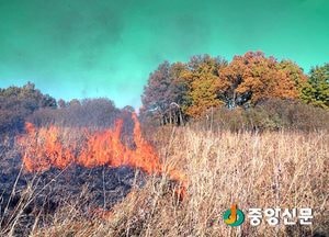 화재원인의 절반은 부주의, 논밭태우기는 매년 늘어 주의 필요