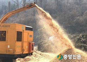재선충병 피해 잣나무, 신기술 만나 친환경 합성목재로 환골탈태