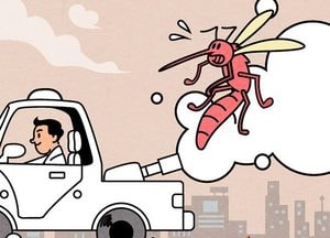 경기·강원·인천, 모기 매개 질병 조기퇴치 위한 합동 방역 추진