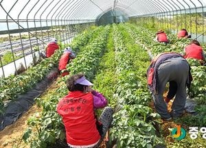 단월면 행복돌봄추진단, 힐링하우스서 땀 뻘뻘