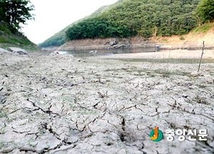 [포토]가뭄에 타들어 가는 금사저수지