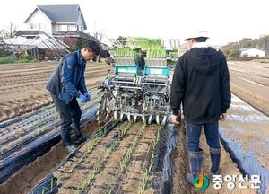 양평군, 2020년까지 벼 재배면적 10%이상 작목 전환 확대