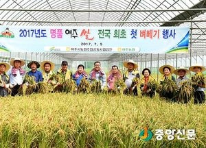 대왕님표 여주쌀 전국 첫 벼베기 행사 열려
