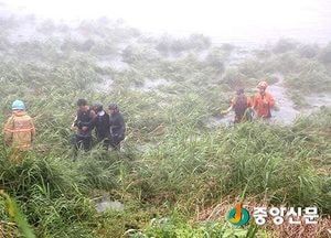 양평, 불어난 물살에 휩쓸린 차량 운전자 구조