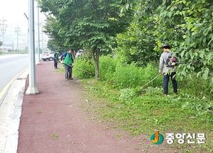 <이천>호법면 새마을지도자, 주요 도로변 잡초 제거