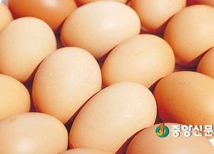8월 넷째주 뉴스 챙겨보기