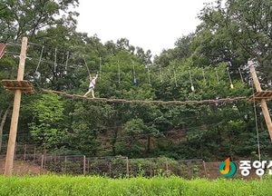 평택 부락산 문화공원 ‘산림체험장 및 하늘숲길’ 개장