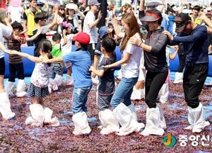 <화성>달콤한 포도향기 가득한 궁평항으로 놀러오세요