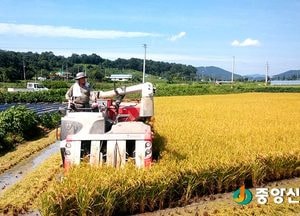 양평군, 물맑은 양평 쌀 대풍 기원 첫 벼베기
