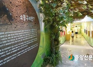 위대한 청소부 ‘소똥구리’, 양평에서 만나요