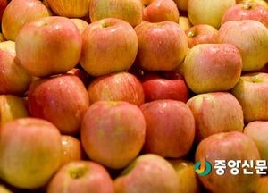9월 첫째주 뉴스 챙겨보기